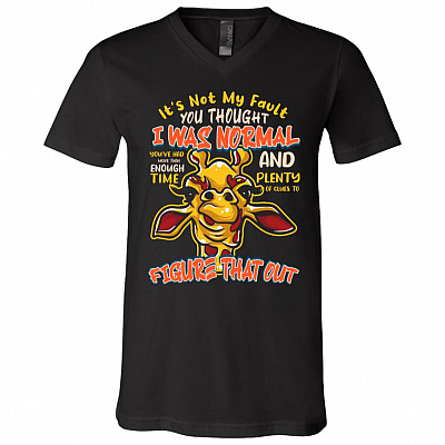 V-Neck T-Shirt
