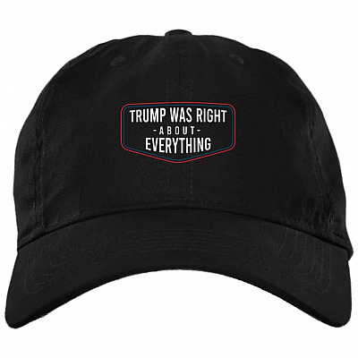 Brushed Twill Dad Cap