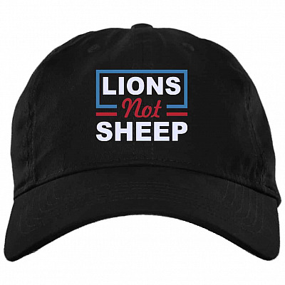 Brushed Twill Dad Cap