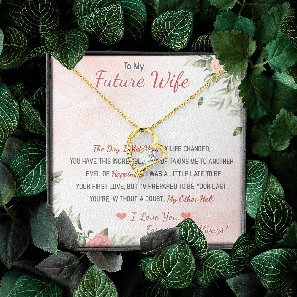 To My Future Wife The Day I Met You My Life Changed I Love You Forever And Always Forever Love Heart Pendant Necklace