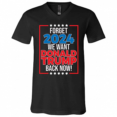 V-Neck T-Shirt