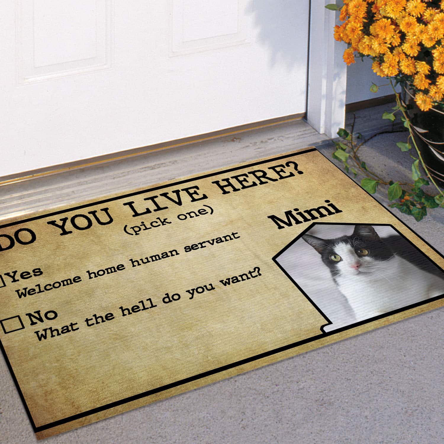 10 HG. Do You Live Here sample design Doormat mockup 11
