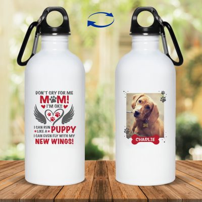 20 oz. Stainless Water Bottle