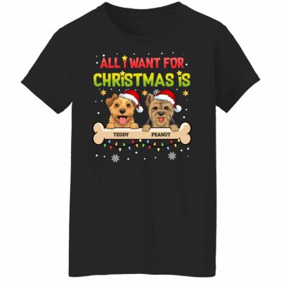 Ladies T-Shirt