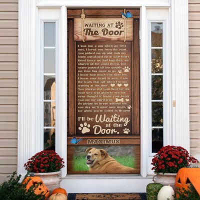 Door Cover