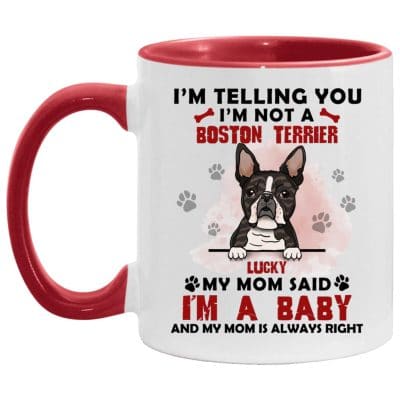 11 oz. Accent Mug