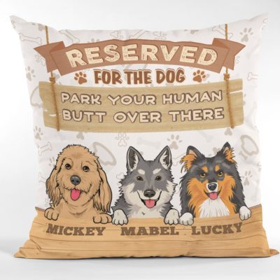 Pillow Cover & Insert