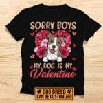 1VT. Valentine Sorry Boys My Dog shirt mk2
