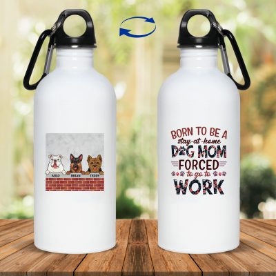 20 oz. Stainless Water Bottle