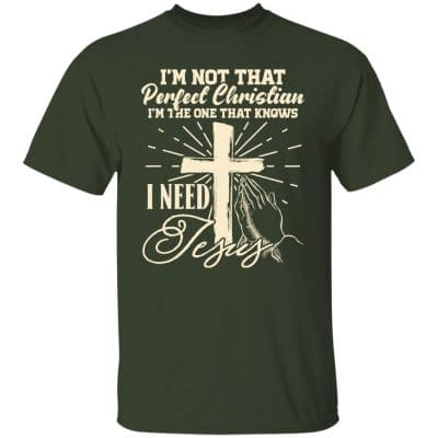 8VT. Not That Perfect Christian, Forest,