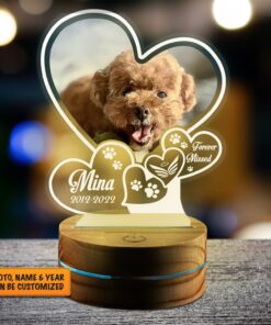 Custom Photo Dog Memorial Gifts Personalized Forever Missed Led Night Light Multi Color - Bedroom Decor