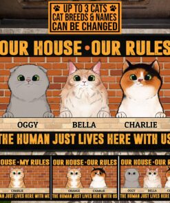 Personalized Cat Breeds Our House Our Rules The Human Just Lives Here With Us House Doormat - Outdoor Doormat