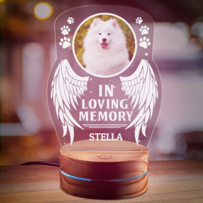 2D Night Light
