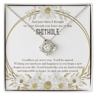 And Just When I Thought We Were Friends You Leave Me In This Shithole Pendant Necklace - Coworker Farewell Gifts
