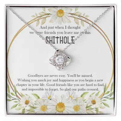 And Just When I Thought We Were Friends You Leave Me In This Shithole Pendant Necklace - Coworker Farewell Gifts