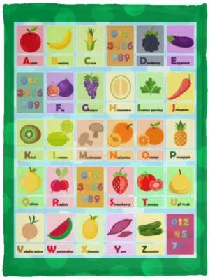 Cozy Plush Fleece Blanket - 30x40