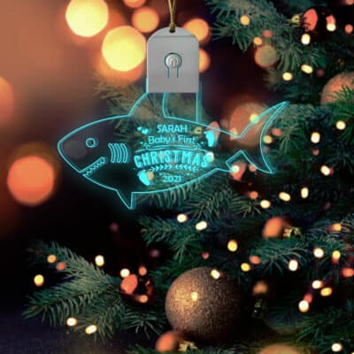 LED Acrylic Ornament
