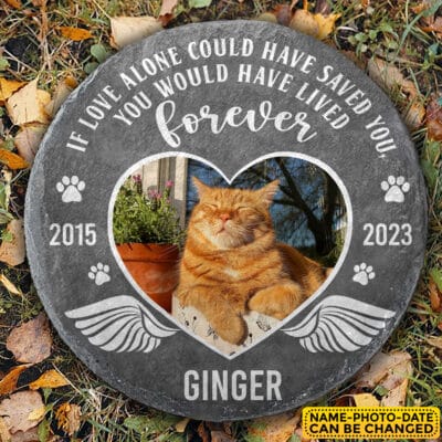 Alternative view of Personalized Memorial You Would Have Lived Forever Memorial Garden Stone Plaque Decor -  Memorial Pet Dog Cat Gifts