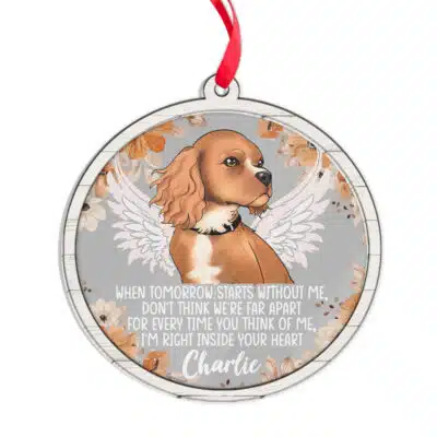 Transparent Acrylic & Wood Ornament