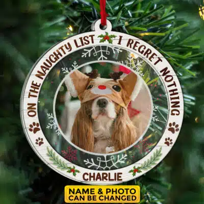 Personalized On The Naughty List I Regret Nothing Pet Lover Christmas Transparent Acrylic Wood Ornament Keepsake