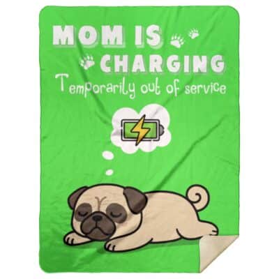 Premium Mink Sherpa Blanket - 60x80