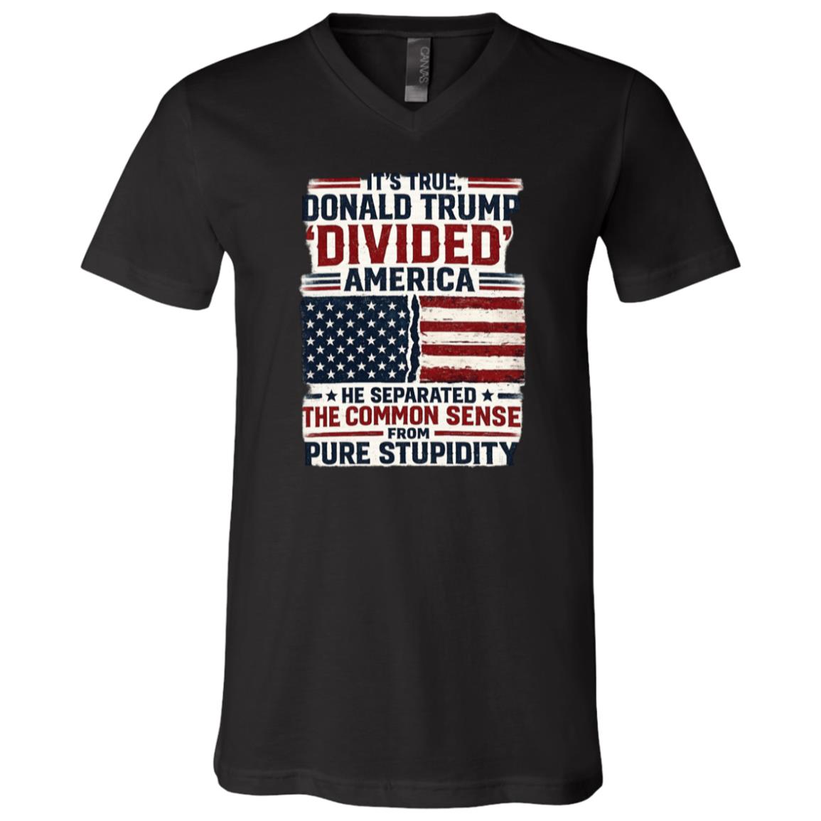 Donald Trump Divided America Political T-Shirt, Common Sense and Stupidity Graphic Tee, Black, V-Neck T-Shirt Donald Trump Divided America Political T-Shirt, Common Sense and Stupidity Graphic Tee, Black, V-Neck T-Shirt