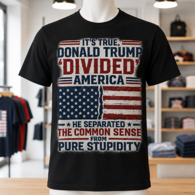 Alternative view of Donald Trump Divided America Political T-Shirt, Common Sense and Stupidity Graphic Tee