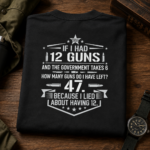 I Had 12 Guns mk 4