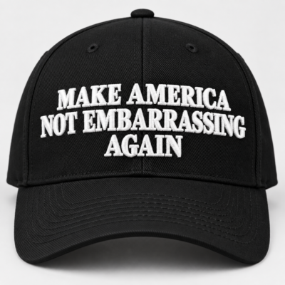 Make America Not Embarrassing Again Hat, Political Statement Embroidered Twill Cap, Anti Trump Humor Baseball Hat